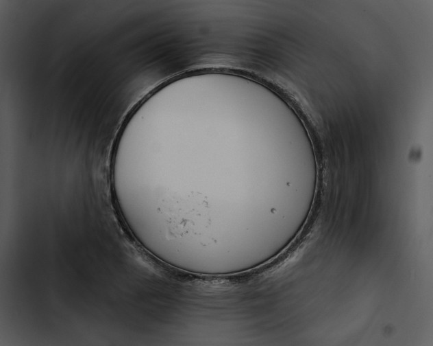 X0000102821129200809081125