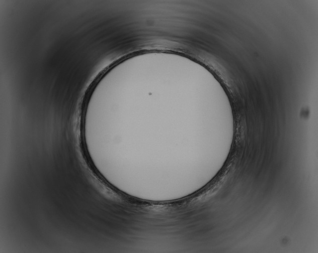 X0000102821130200809081125