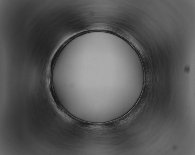 X0000102821132200809081125