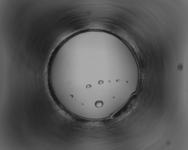 X0000102821133200809081125