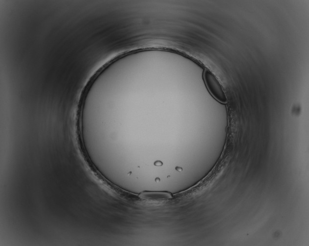 X0000102821134200809081125