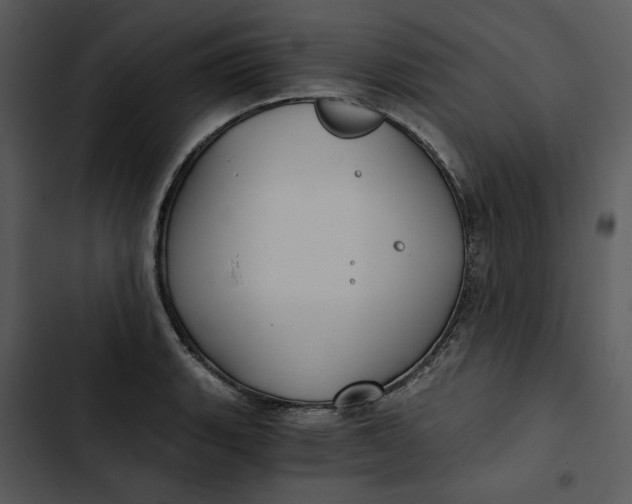 X0000102821135200809081125