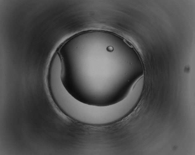 X0000102821136200809081125