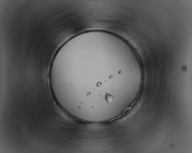 X0000102821137200809081125