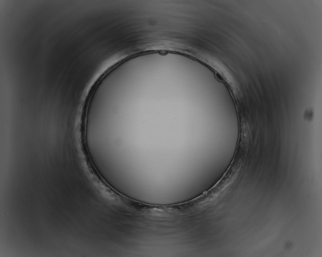 X0000102821138200809081125