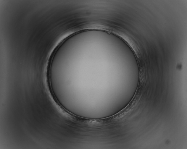 X0000102821139200809081125