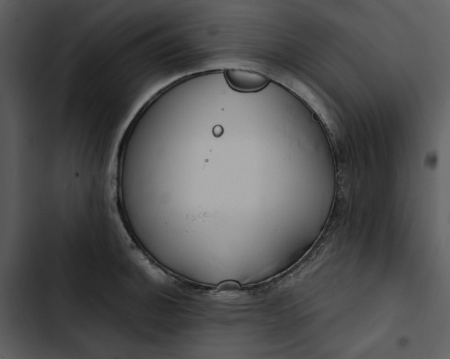 X0000102821140200809081125