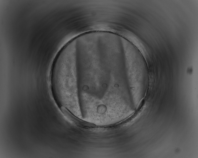 X0000102821141200809081125