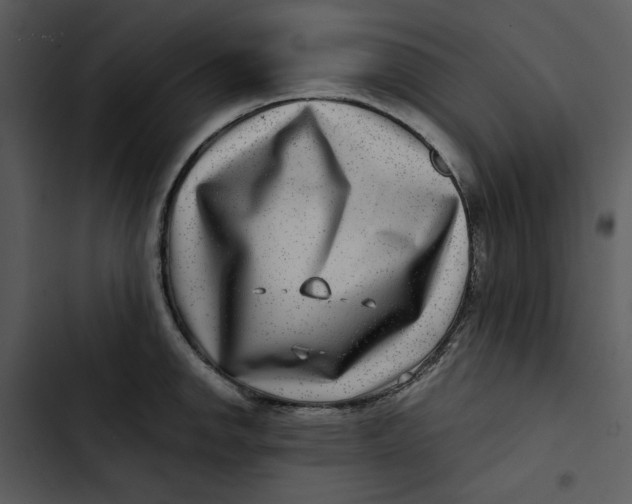 X0000102821142200809081125