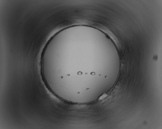 X0000102821143200809081125