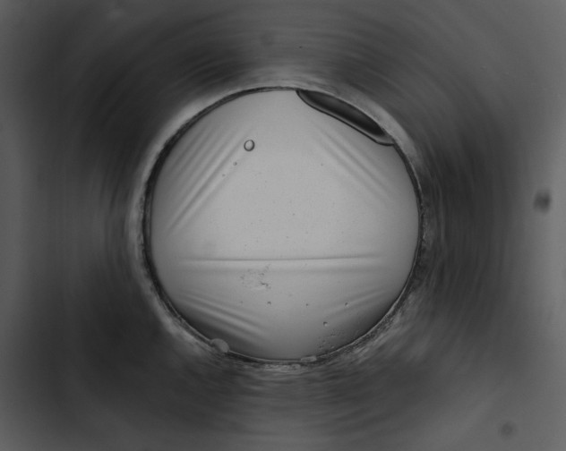 X0000102821144200809081125