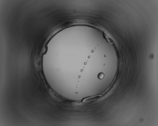 X0000102821145200809081125