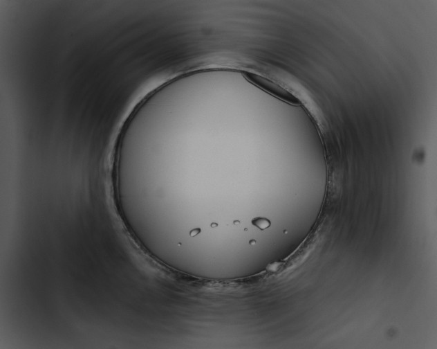 X0000102821146200809081125