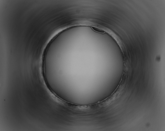 X0000102821147200809081125