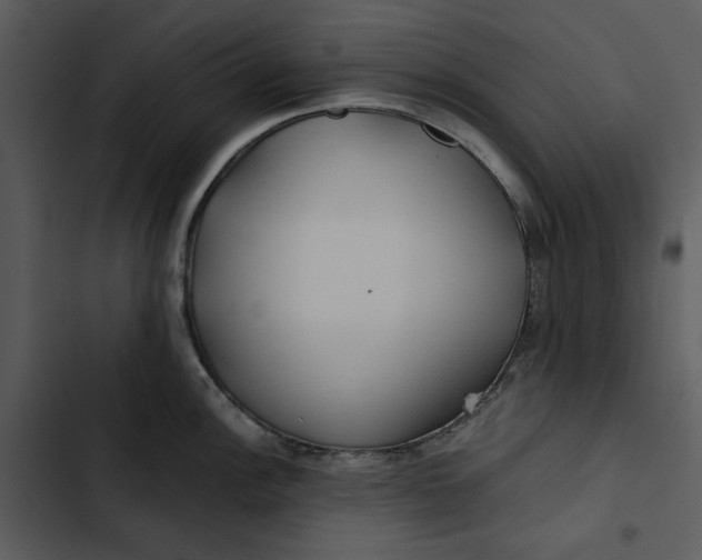 X0000102821148200809081125