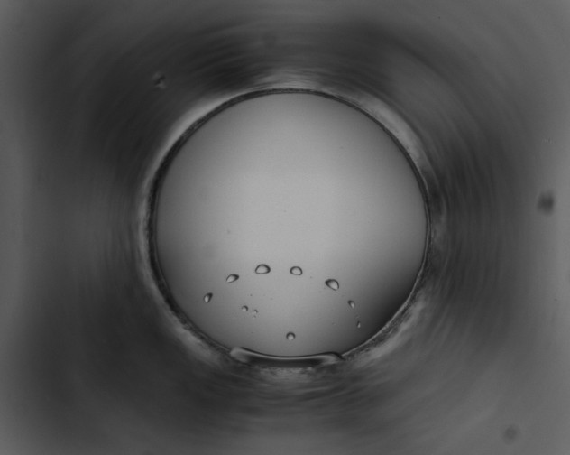 X0000102821149200809081125