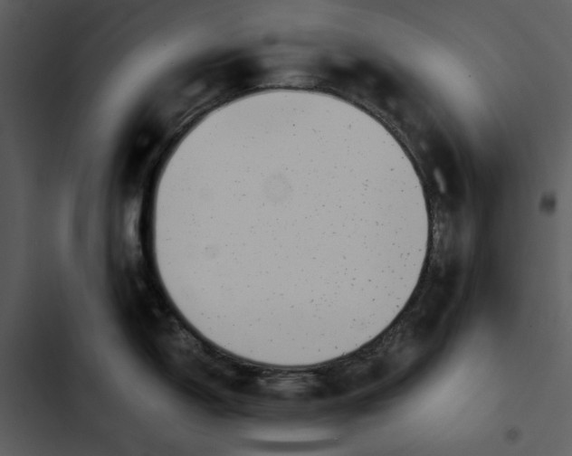 X0000102821150200809081125