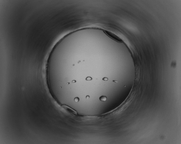 X0000102821151200809081125