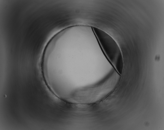 X0000102821152200809081125