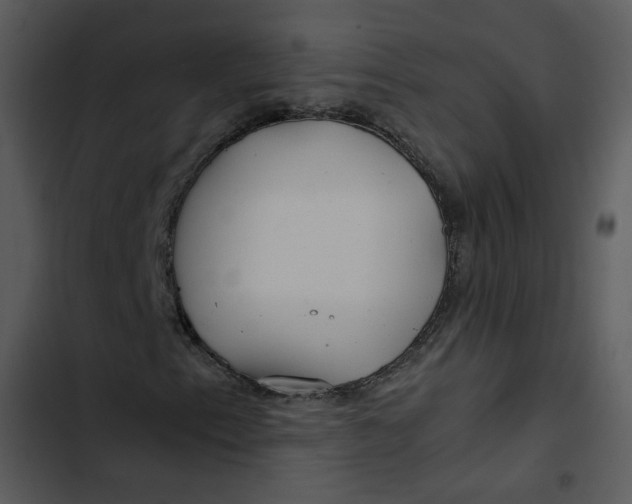 X0000102821153200809081124