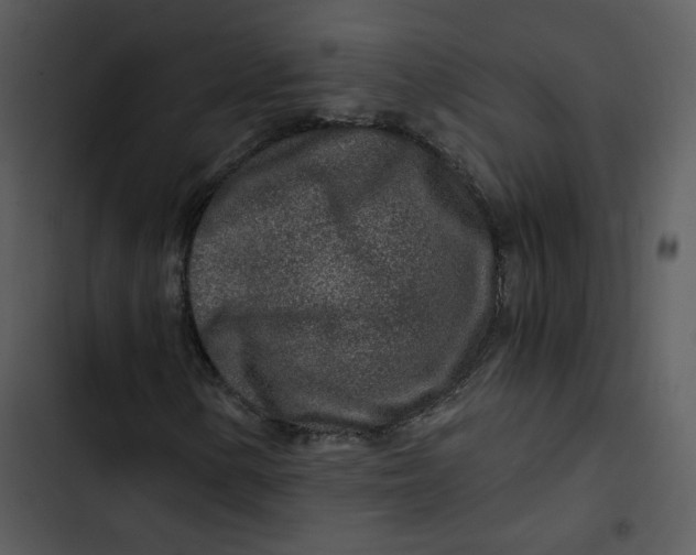 X0000102821154200809081124