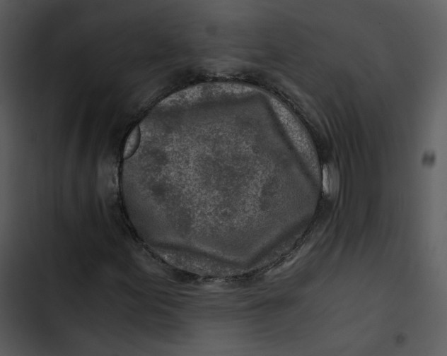 X0000102821155200809081124