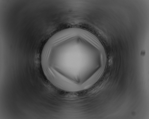 X0000102821156200809081124