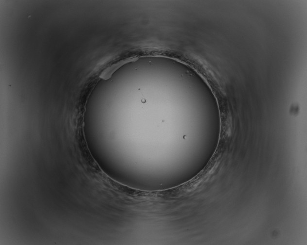 X0000102821157200809081124