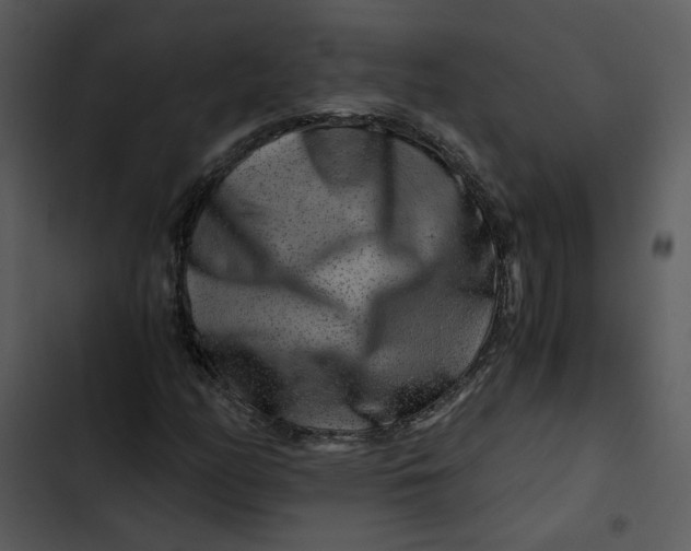 X0000102821158200809081124