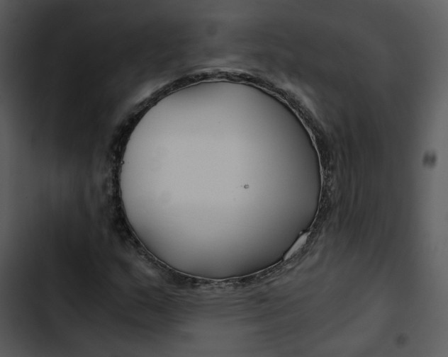 X0000102821159200809081124