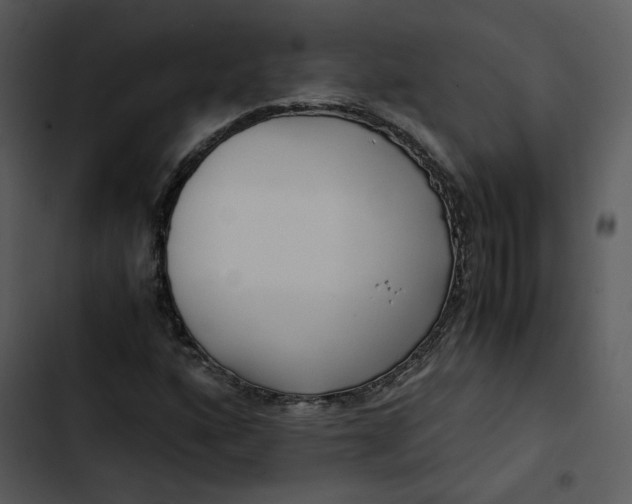 X0000102821160200809081124