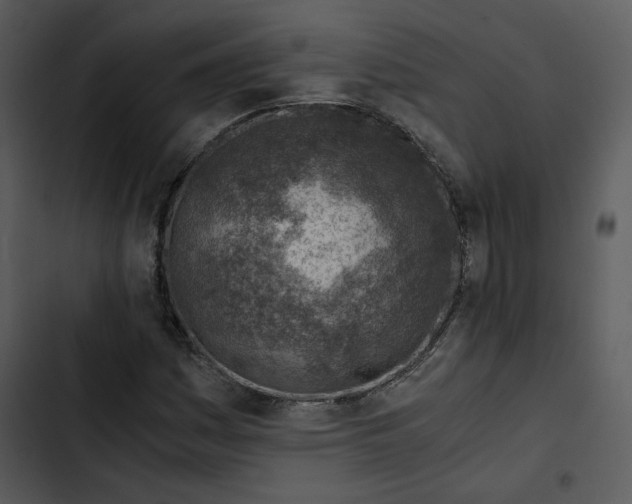 X0000102821161200809081124