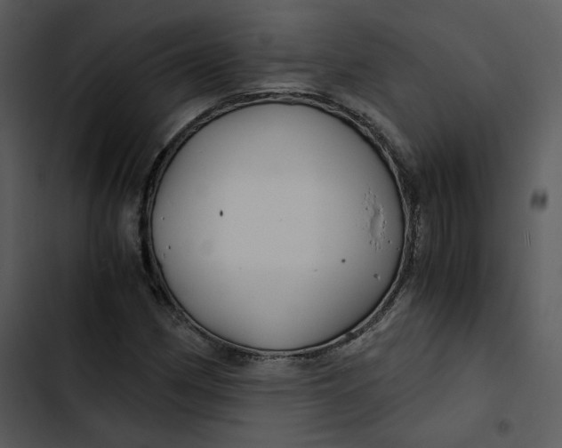 X0000102821162200809081124