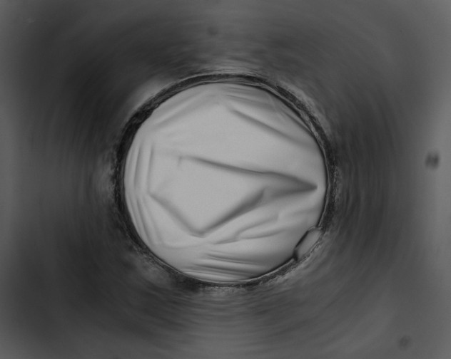 X0000102821163200809081124