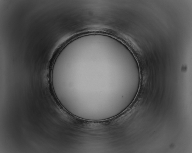 X0000102821164200809081124