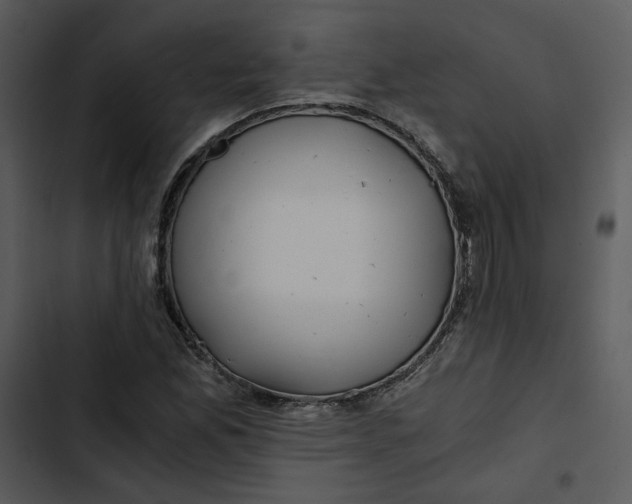 X0000102821165200809081124