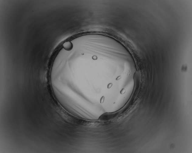 X0000102821166200809081124