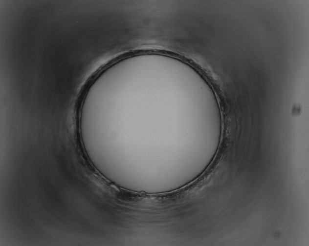 X0000102821167200809081124