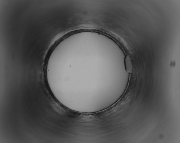 X0000102821168200809081124