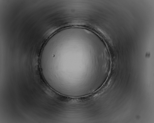 X0000102821169200809081124