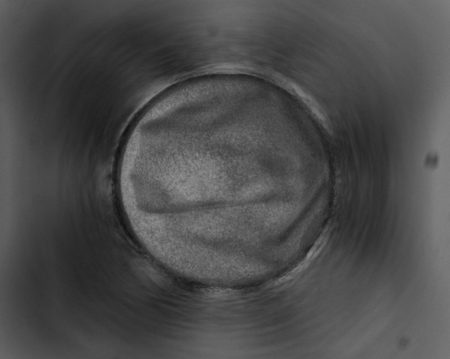 X0000102821170200809081124