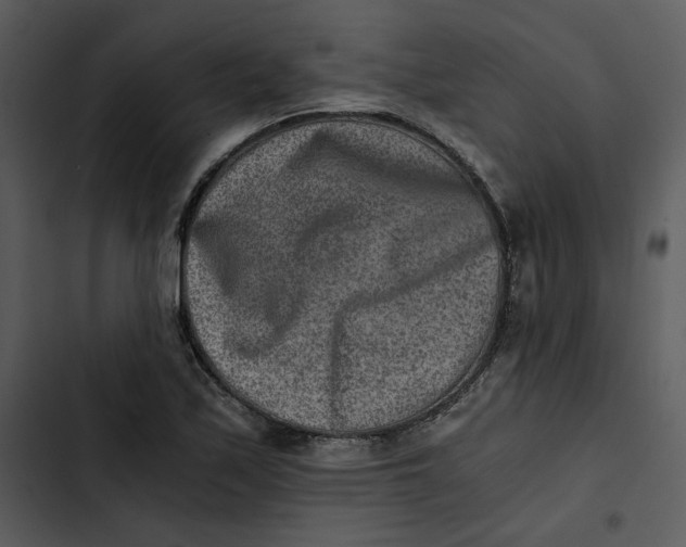 X0000102821171200809081124