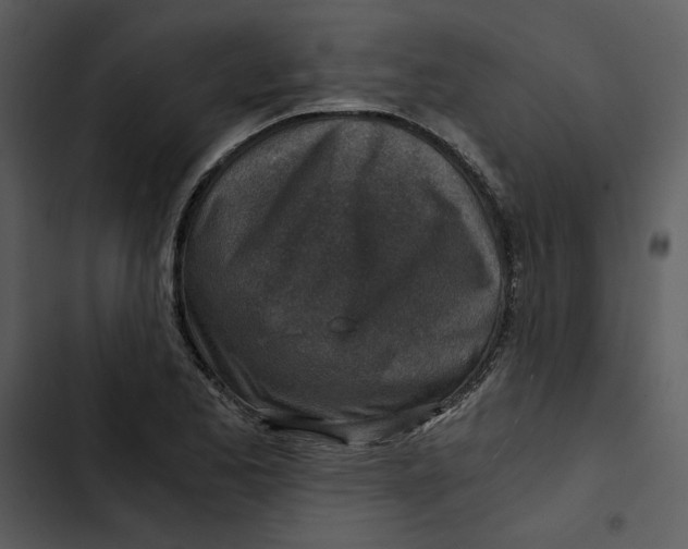 X0000102821173200809081124