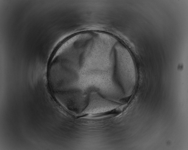 X0000102821174200809081124