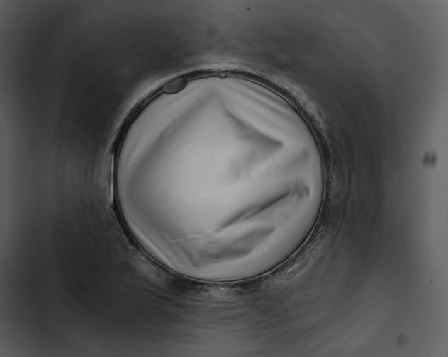 X0000102821175200809081124