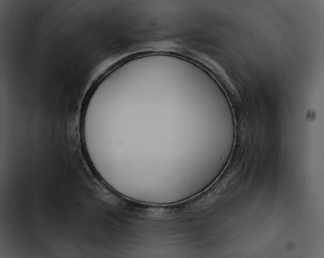 X0000102821176200809081124