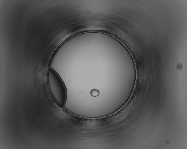 X0000102821177200809081124