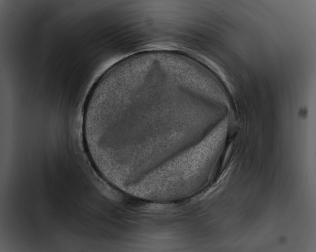 X0000102821179200809081124