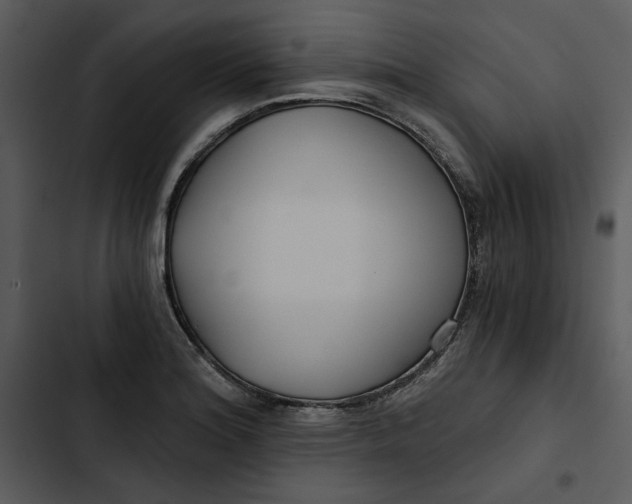 X0000102821180200809081124