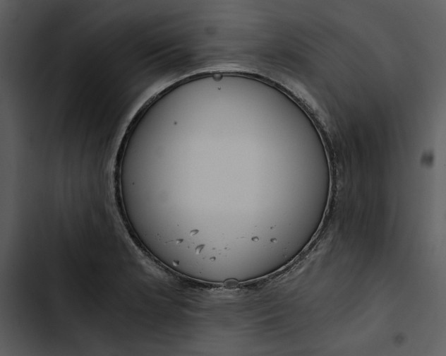 X0000102821181200809081124